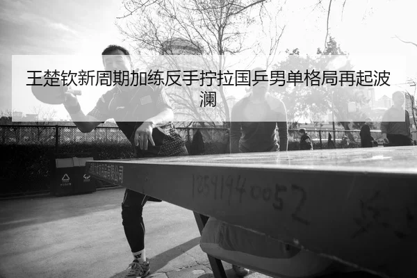 王楚钦新周期加练反手拧拉国乒男单格局再起波澜